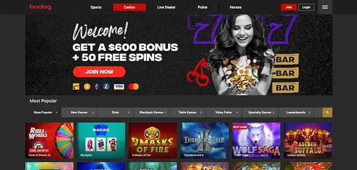 Bodog Casino